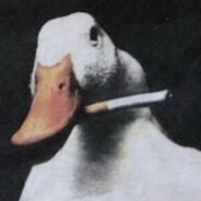 duck's Stream profile image