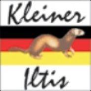 Kleiner Iltis's Stream profile image