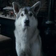 The Nymeria's Stream profile image
