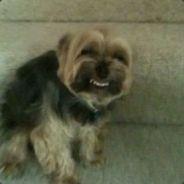 BarnaclesUK's Stream profile image