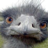 Emu's - Steam avatar