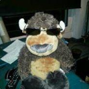 SouIreaver's Stream profile image