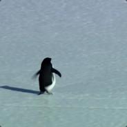 Nihilist_Penguin's - Steam avatar