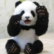 Pandita Bebe's Stream profile image