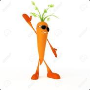 Mc_Carrot's Stream profile image