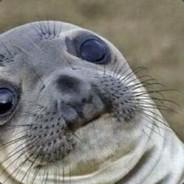 L'otarie's Stream profile image