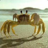 Crabs's - Steam avatar