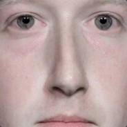 The Fresh Maker's Stream profile image