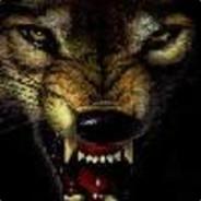 wolf_adnan's Stream profile image