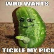 Tickle My Pickle's Stream profile image