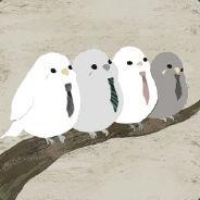 index1559's Stream profile image