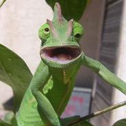amelia.bromie's Stream profile image
