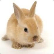 Checky's Stream profile image