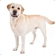 SarasArbetslösaMake's Stream profile image