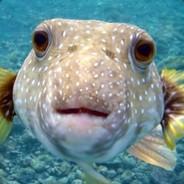 Zimboo's - Steam avatar