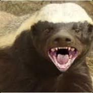 HoneyBadger's Stream profile image