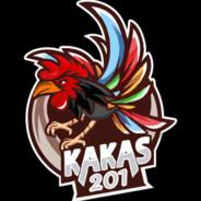 kakas201's Stream profile image