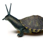 snurtle man's Stream profile image