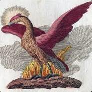 [FuZe]Phoenix's - Steam avatar