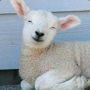 Wolligschaap's Stream profile image