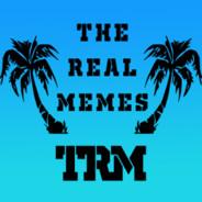 The Real Memes's Stream profile image