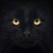 RainyBlue's Stream profile image