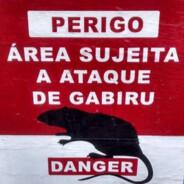 GABIRU DE HELLCIFE's Stream profile image