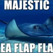 Majestic Sea Flap Flap's Stream profile image