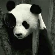 Kolsuz Panda's - Steam avatar