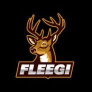 Fleegi's Stream profile image