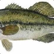 Butt Bass's Stream profile image