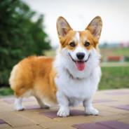 Sam63's Stream profile image