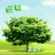 believer_zzr's Stream profile image