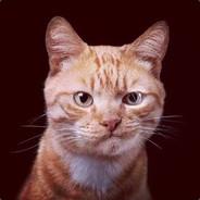 大猫哥's Stream profile image