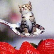 Littlest Cat's Stream profile image