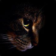 [L2P]DarkCat's Stream profile image