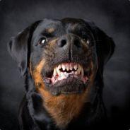 DerPunkt_LTL's - Steam avatar