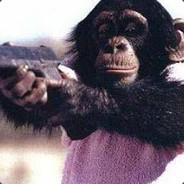 Ivan's Stream profile image