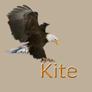 Kite's - Steam avatar