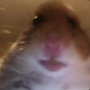 IBT(NekoSlaveDriver)'s Stream profile image