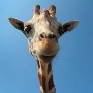 Giraffe's - Steam avatar