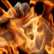 TheFlamingCamel's - Steam avatar