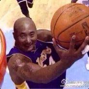 KOBE's Stream profile image