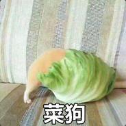 夜来卧听风吹雨's Stream profile image