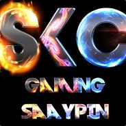 Saaypin's Stream profile image