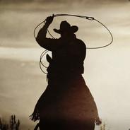 ✭TheHighwayman✭(TippmixPro)'s Stream profile image