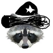 Raccoon's - Steam avatar