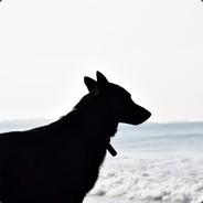 laspatoaventuras's Stream profile image