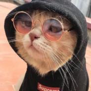 BananaFuhrer's Stream profile image