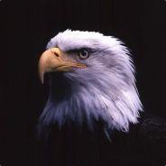 Dark_Eagle's Stream profile image